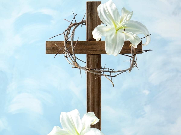 Photo for Announcement 3