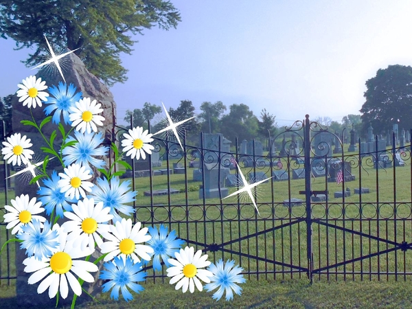 Photo for Announcement 2